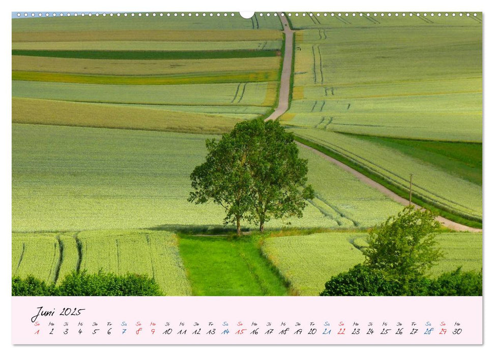 Wald und Baum 2025 (CALVENDO Wandkalender 2025)