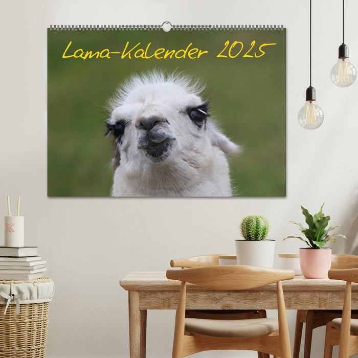 Lama-Kalender 2025 (CALVENDO Wandkalender 2025)