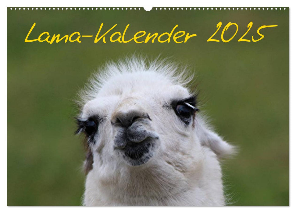 Lama-Kalender 2025 (CALVENDO Wandkalender 2025)