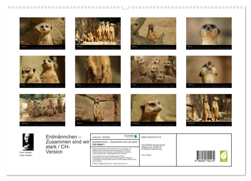 Erdmännchen – Zusammen sind wir stark / CH-Version (CALVENDO Premium Wandkalender 2025)