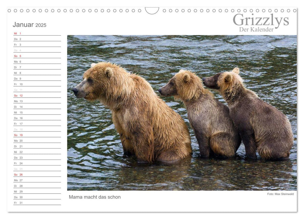 Grizzlys - Der Kalender CH-Version (CALVENDO Wandkalender 2025)