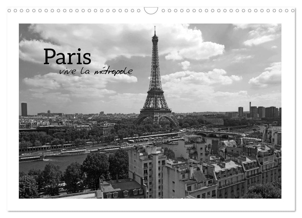 Paris vive la métropole (CALVENDO Wandkalender 2025)