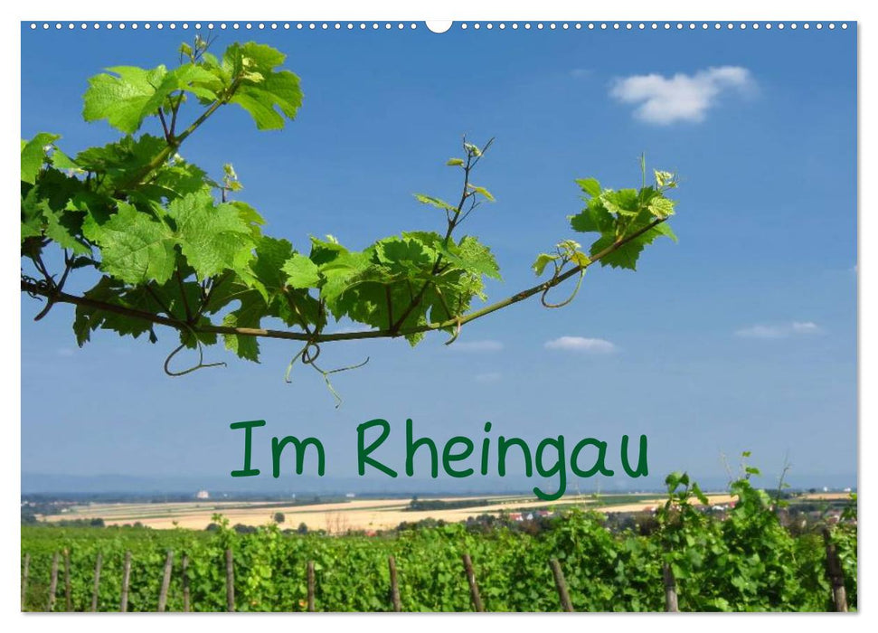 Im Rheingau (CALVENDO Wandkalender 2025)