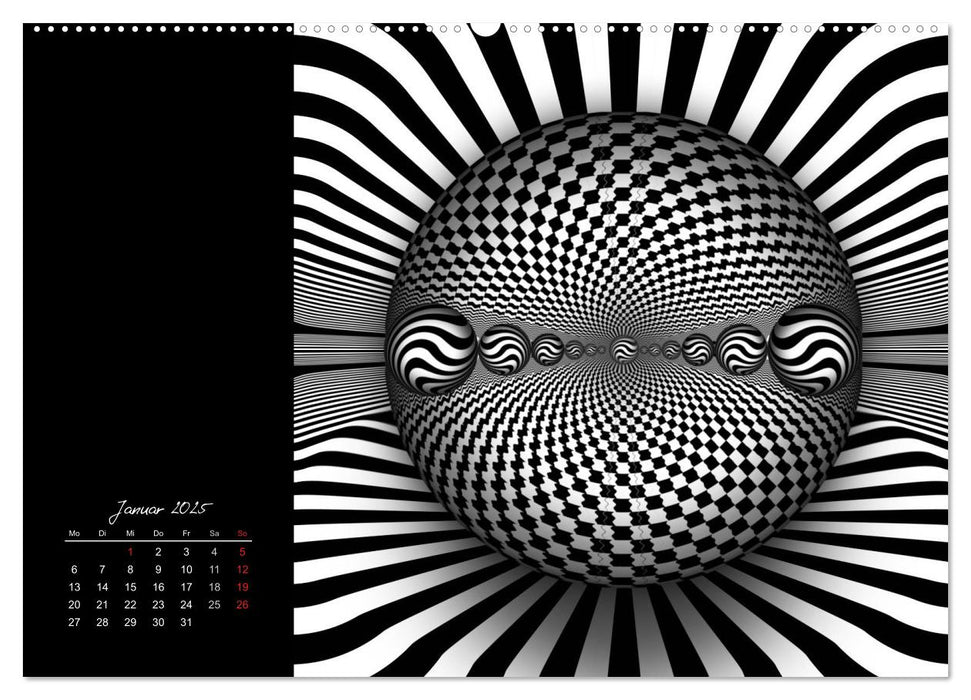 Schwarz trifft Weiß (CALVENDO Premium Wandkalender 2025)