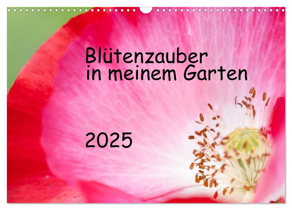 Blütenzauber in meinem Garten (CALVENDO Wandkalender 2025)