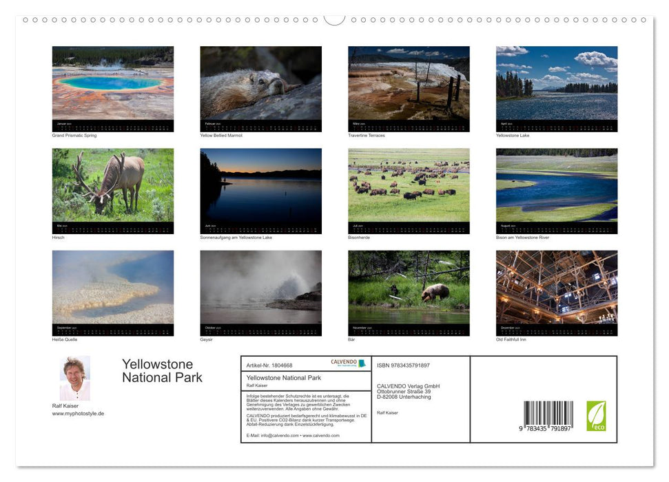 Yellowstone National Park (CALVENDO Premium Wandkalender 2025)