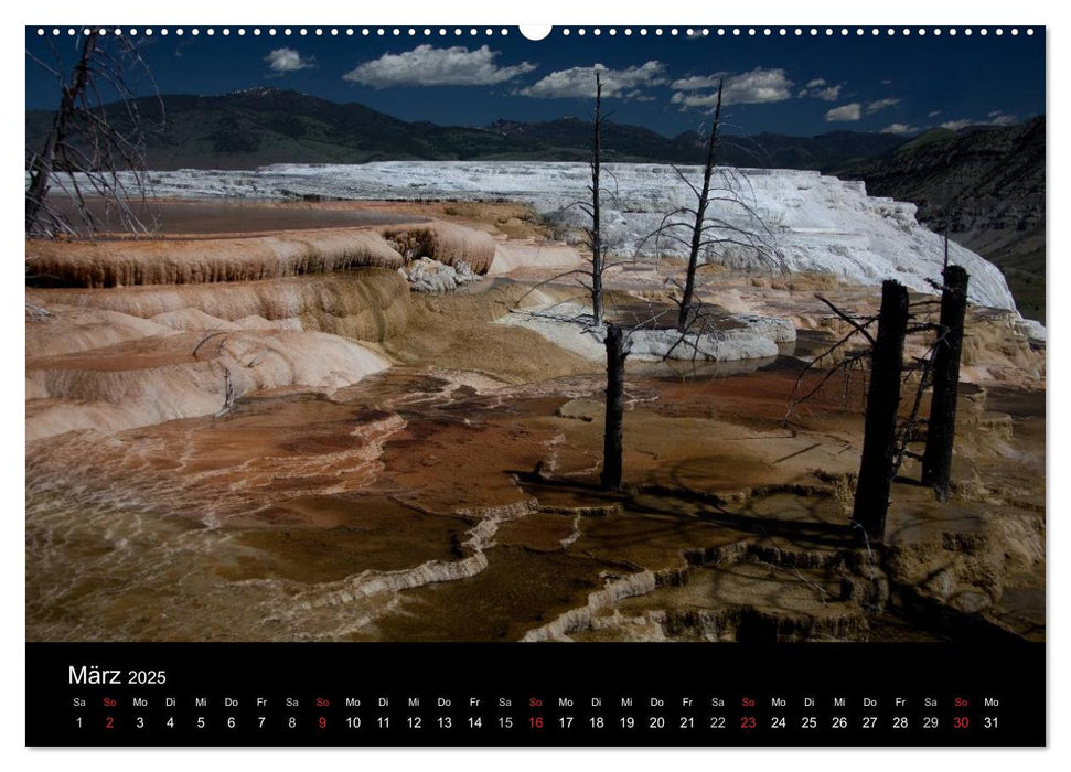 Yellowstone National Park (CALVENDO Premium Wandkalender 2025)