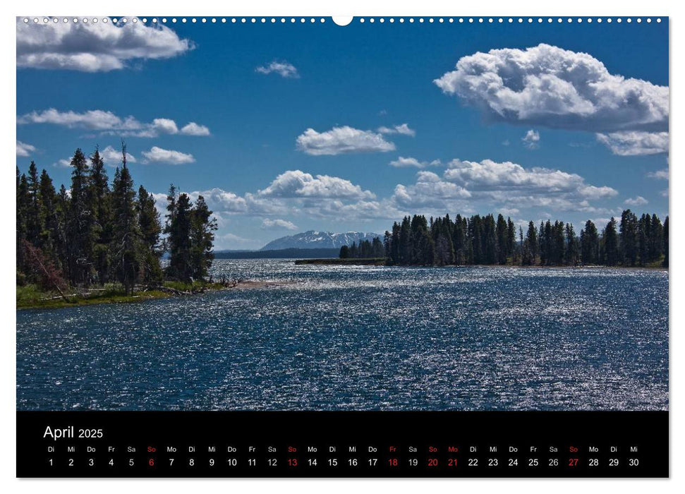 Yellowstone National Park (CALVENDO Premium Wandkalender 2025)