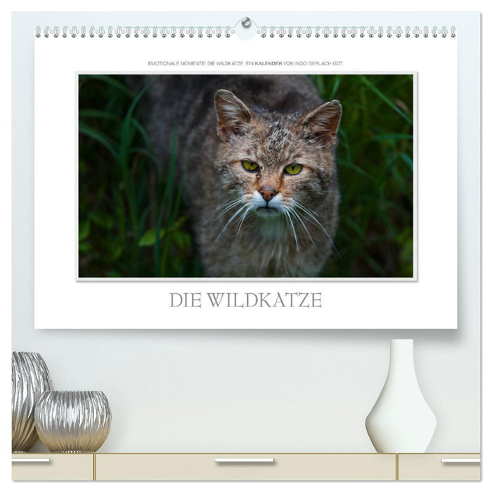 Emotionale Momente: Die Wildkatze. (CALVENDO Premium Wandkalender 2025)