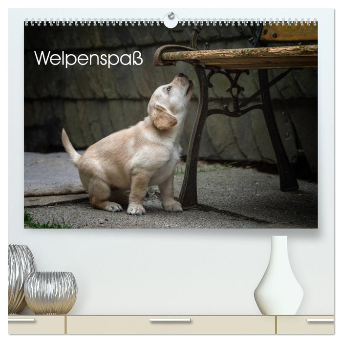 Welpenspaß (CALVENDO Premium Wandkalender 2025)