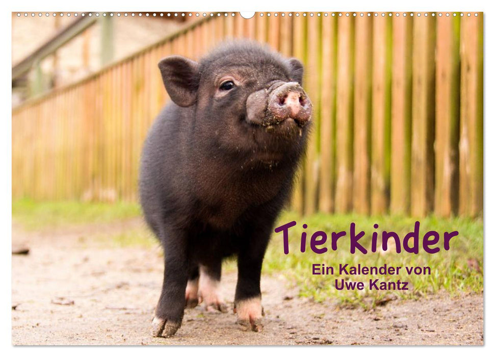 Tierkinder (CALVENDO Wandkalender 2025)