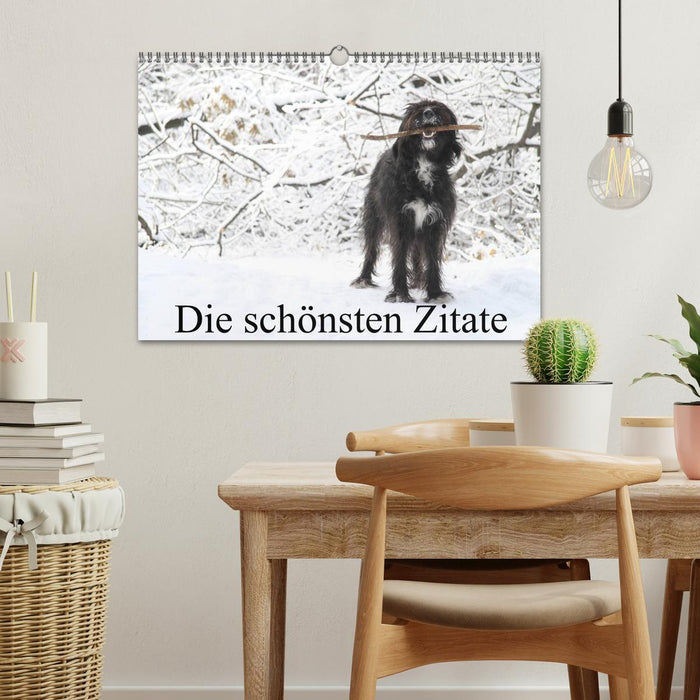 Die schönsten Zitate (CALVENDO Wandkalender 2025)