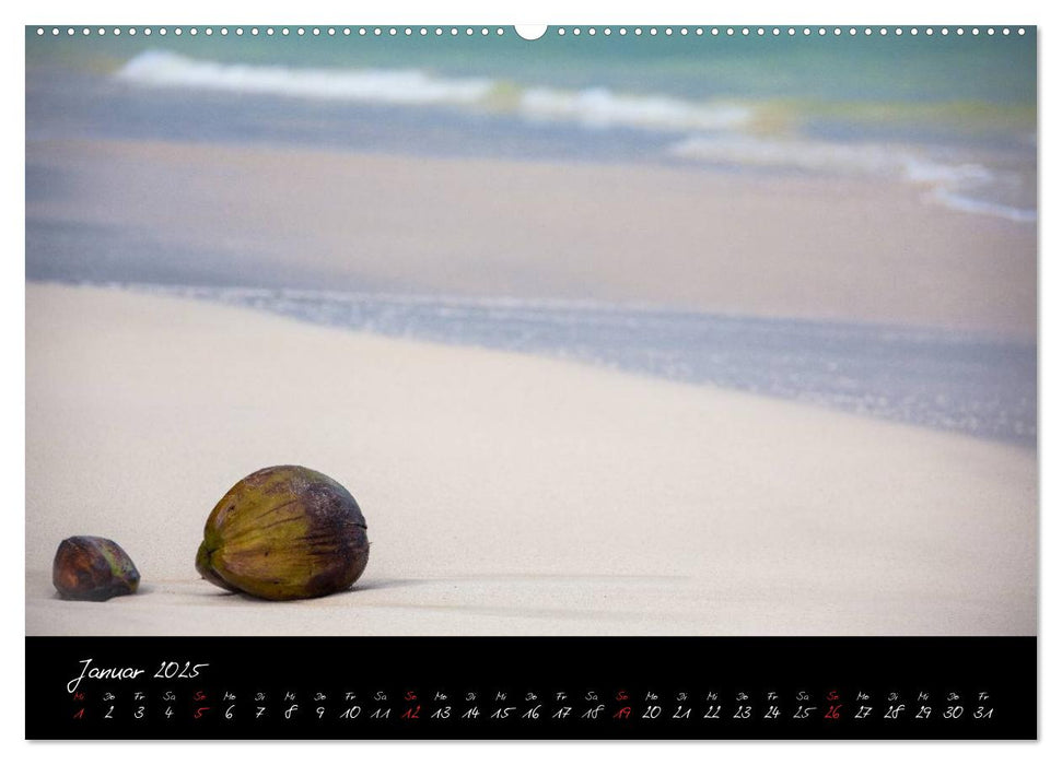 Hawaii (CALVENDO Premium Wandkalender 2025)