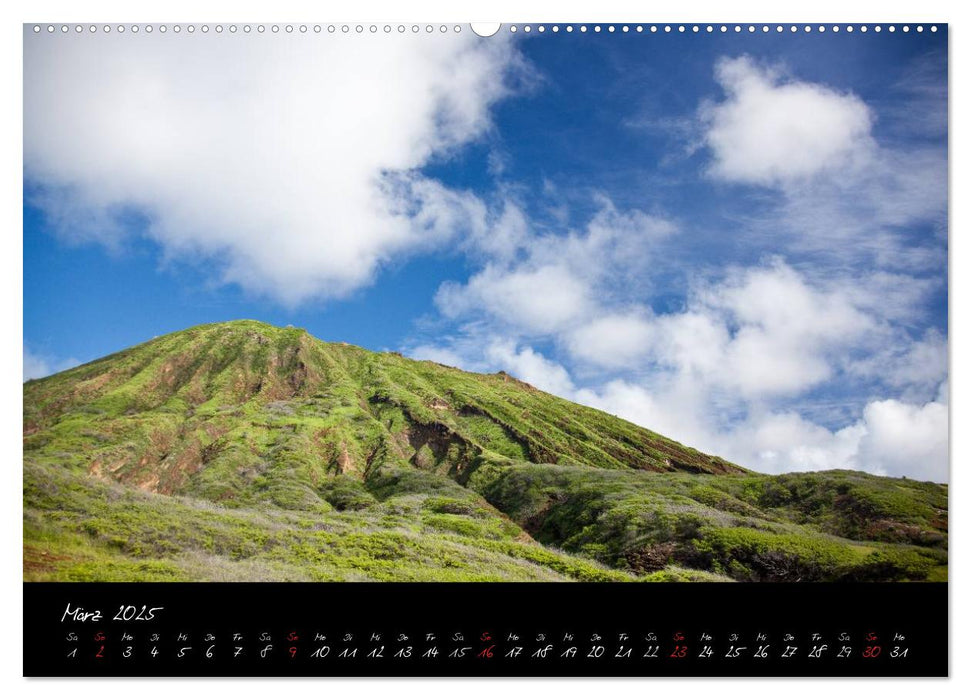 Hawaii (CALVENDO Premium Wandkalender 2025)