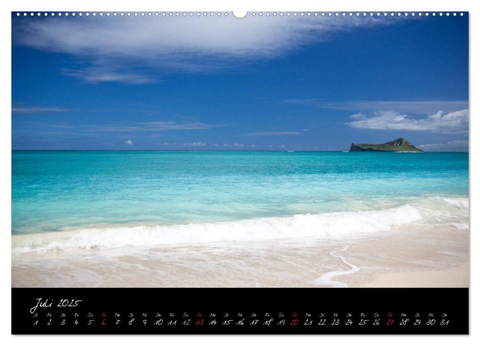 Hawaii (CALVENDO Premium Wandkalender 2025)