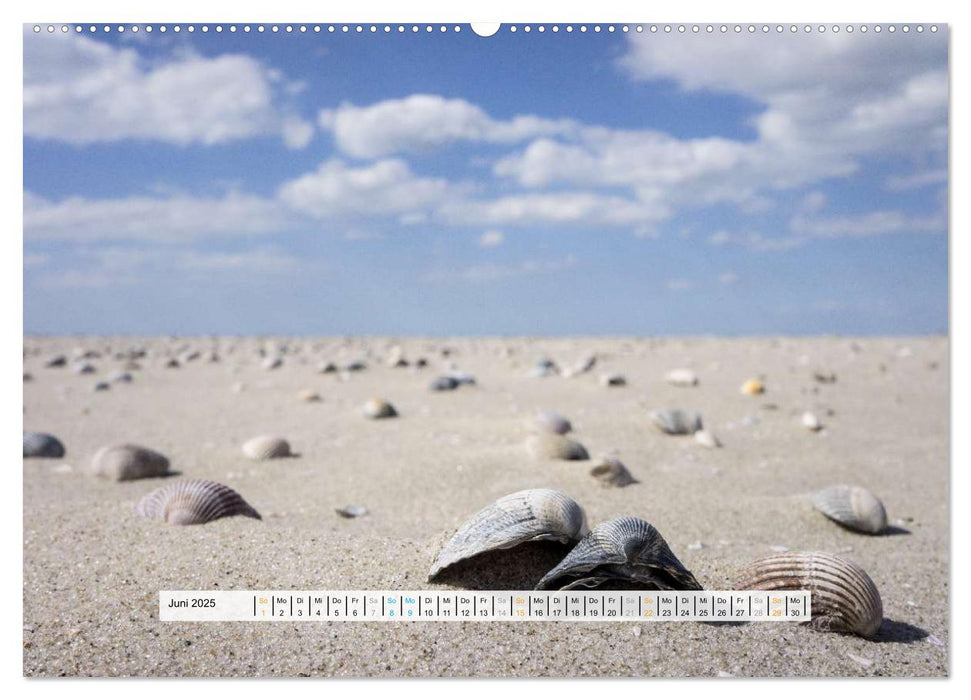 St. Peter-Ording (CALVENDO Wandkalender 2025)