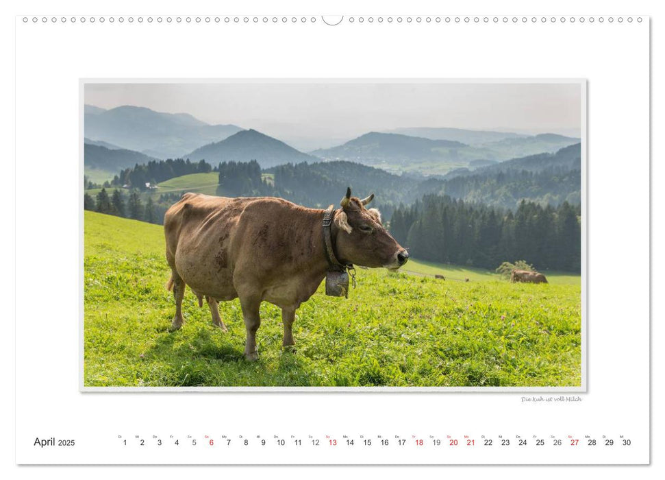 Emotionale Momente: Oberstaufen im Allgäu. (CALVENDO Premium Wandkalender 2025)