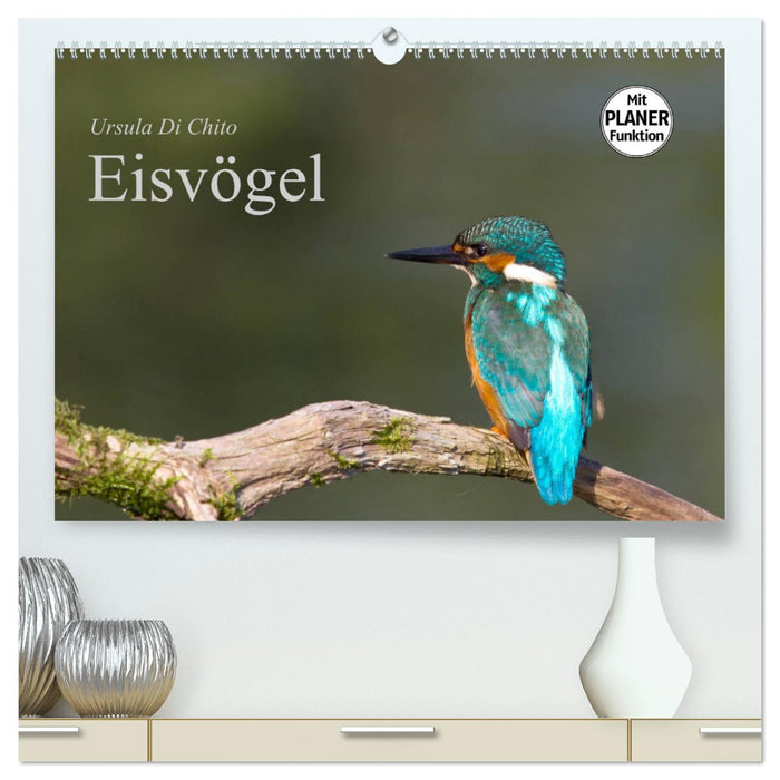 Eisvögel (CALVENDO Premium Wandkalender 2025)