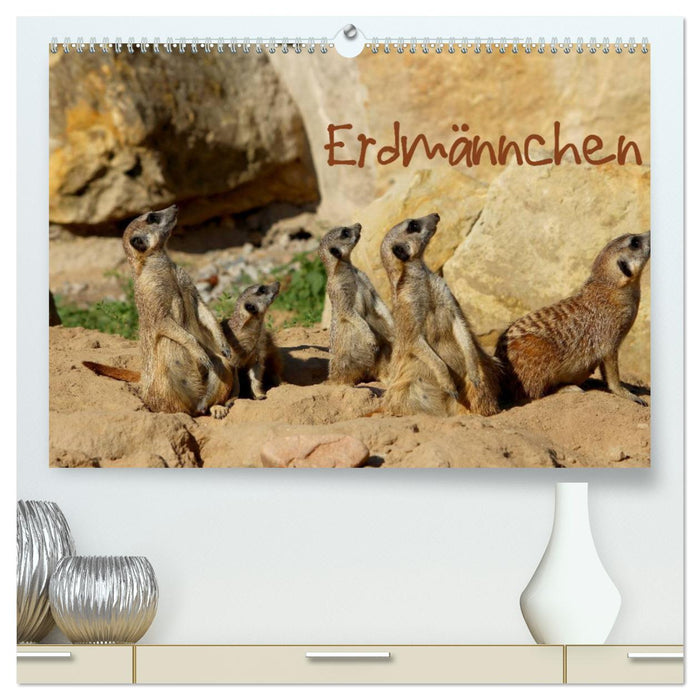 Erdmännchen (CALVENDO Premium Wandkalender 2025)