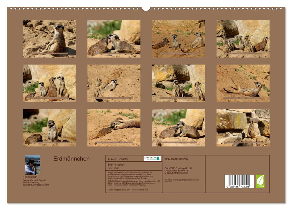 Erdmännchen (CALVENDO Premium Wandkalender 2025)