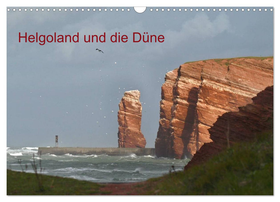 Helgoland und die Düne (CALVENDO Wandkalender 2025)