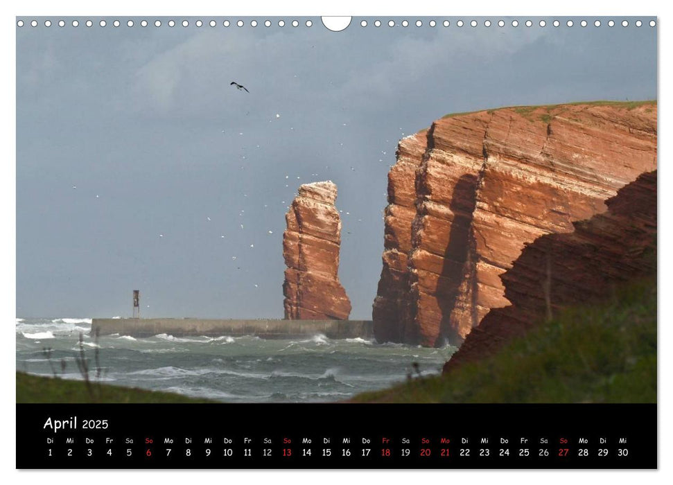 Helgoland und die Düne (CALVENDO Wandkalender 2025)