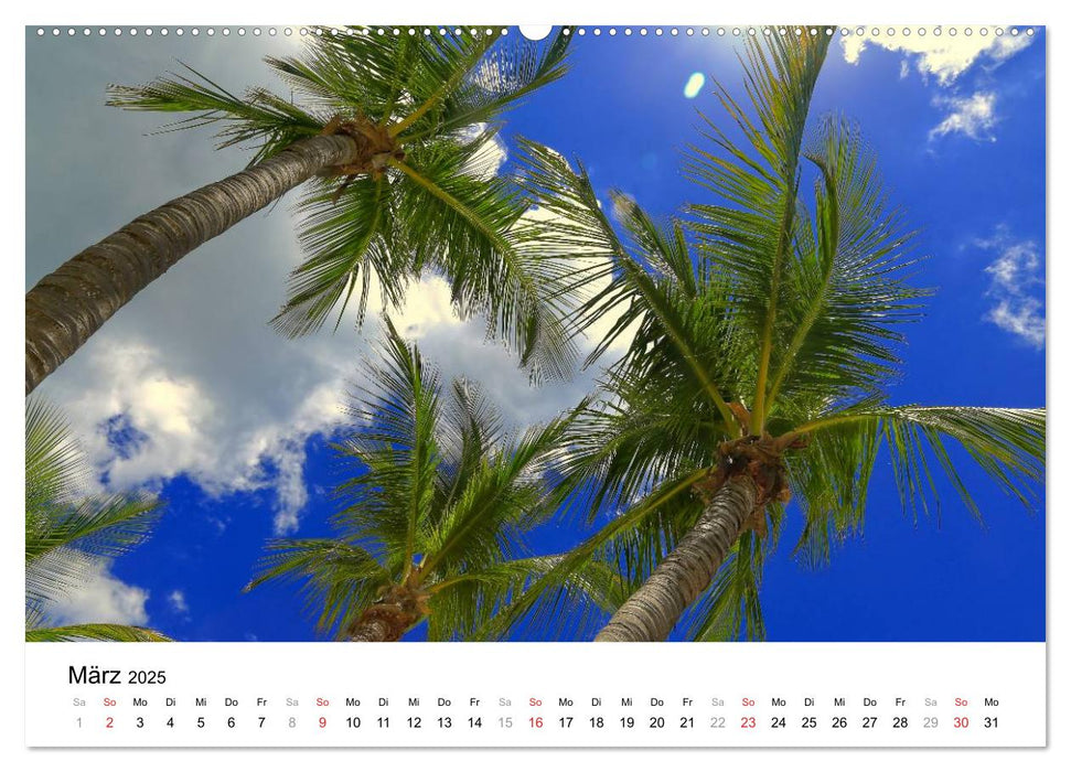 Unter der Sonne Floridas (CALVENDO Premium Wandkalender 2025)