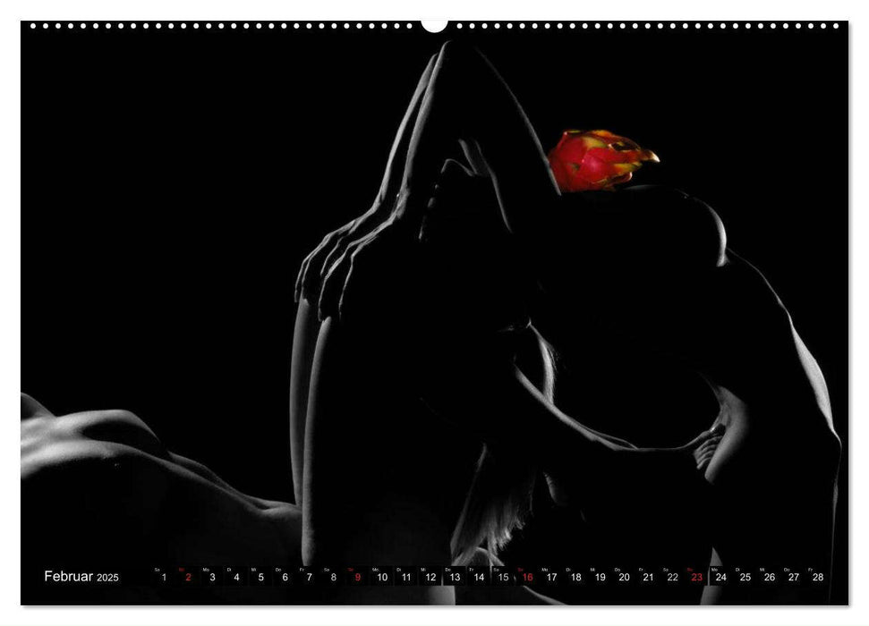 Fruit Nudes 2025 (CALVENDO Premium Wandkalender 2025)