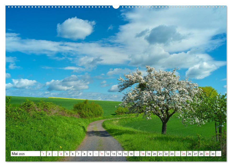 Traumhafte Wege durch die Eifel (CALVENDO Wandkalender 2025)