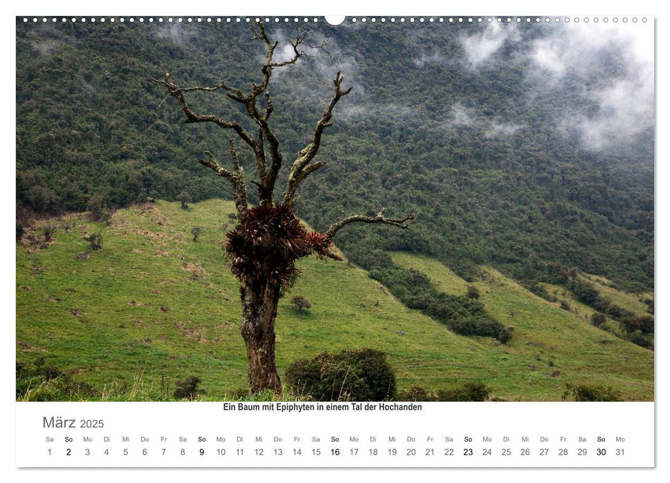 Ecuador - Regenwald und Vulkane (CALVENDO Premium Wandkalender 2025)