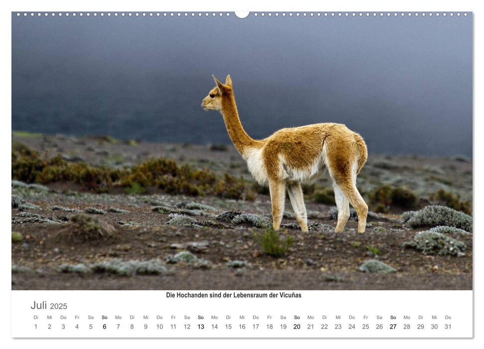 Ecuador - Regenwald und Vulkane (CALVENDO Premium Wandkalender 2025)