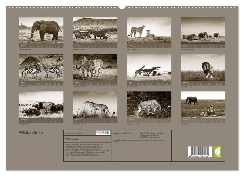 Wildes Afrika (CALVENDO Premium Wandkalender 2025)