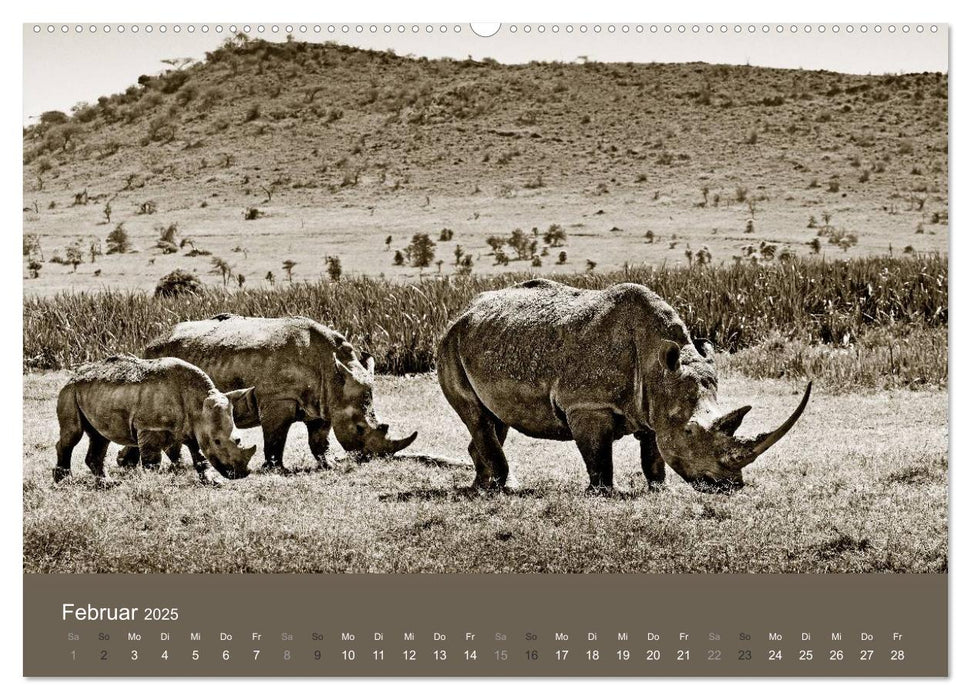 Wildes Afrika (CALVENDO Premium Wandkalender 2025)