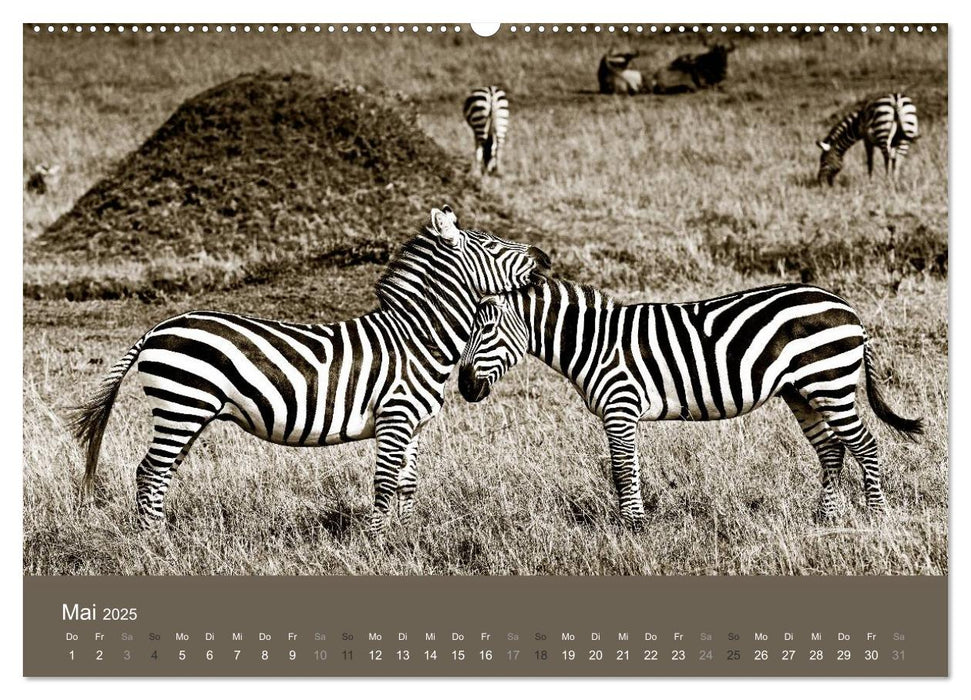 Wildes Afrika (CALVENDO Premium Wandkalender 2025)