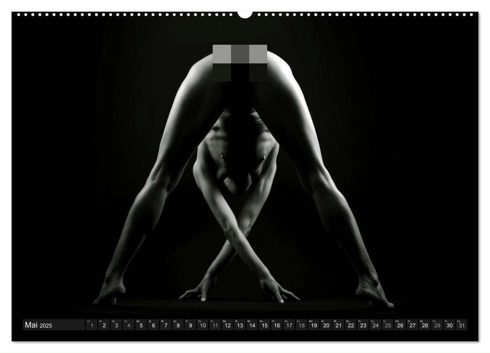 AKT FOTOGRAFIE II (CALVENDO Premium Wandkalender 2025)