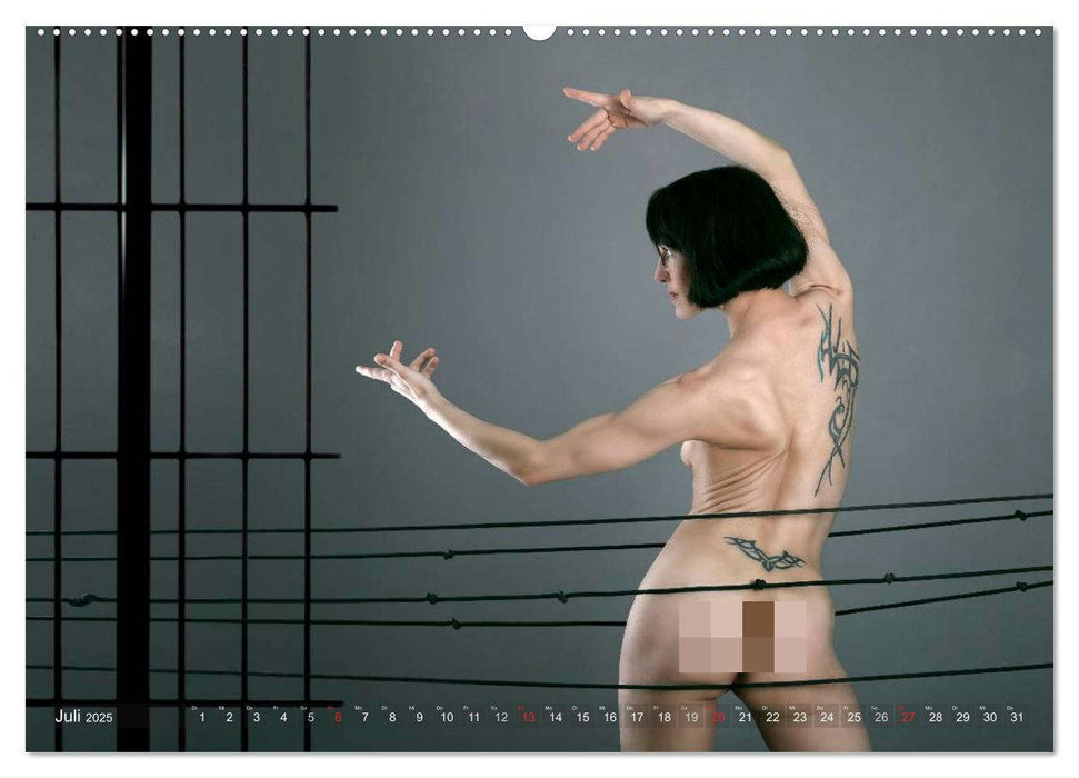 AKT FOTOGRAFIE I (CALVENDO Premium Wandkalender 2025)