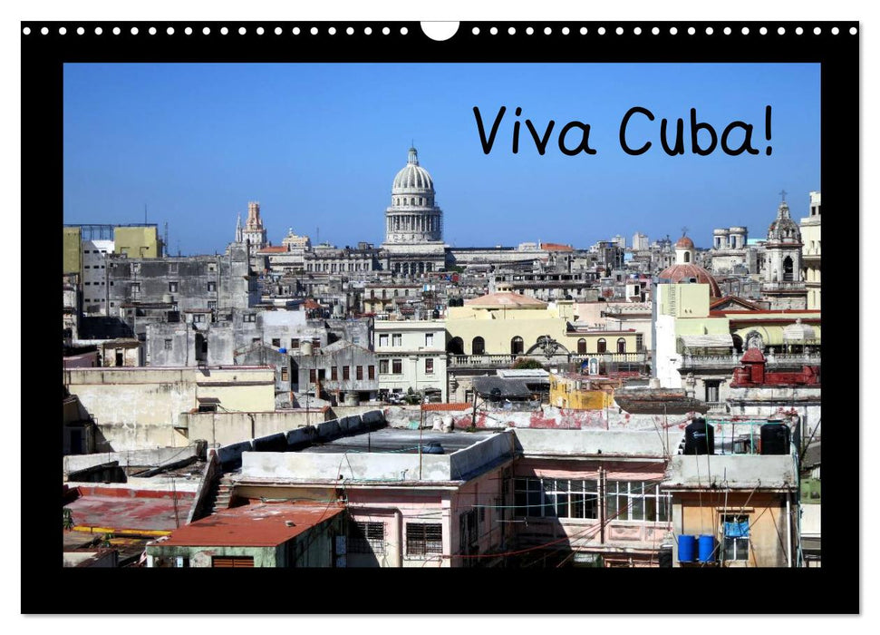 Viva Cuba! (CALVENDO Wandkalender 2025)