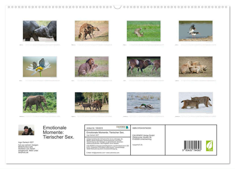 Emotionale Momente: Tierischer Sex. (CALVENDO Premium Wandkalender 2025)