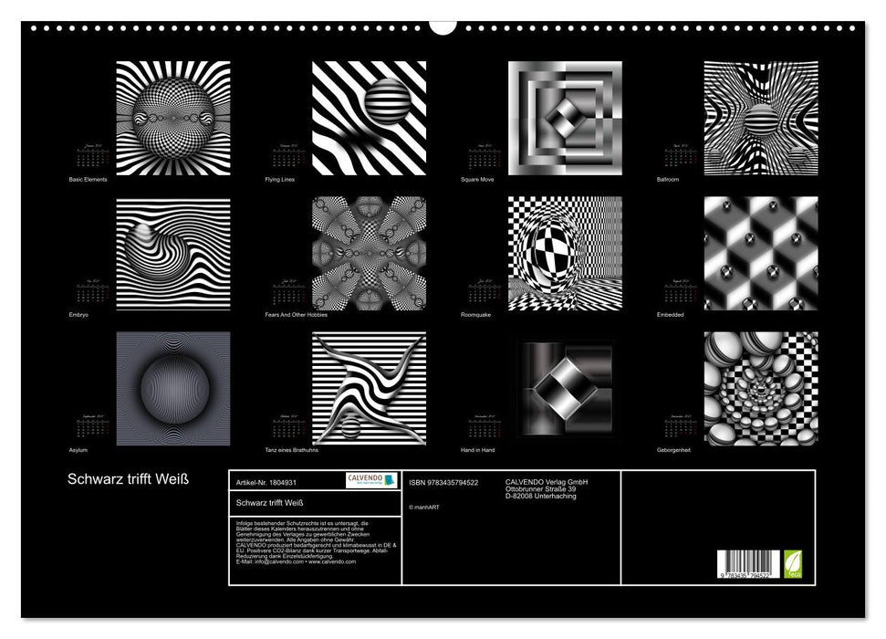 Schwarz trifft Weiß (CALVENDO Wandkalender 2025)