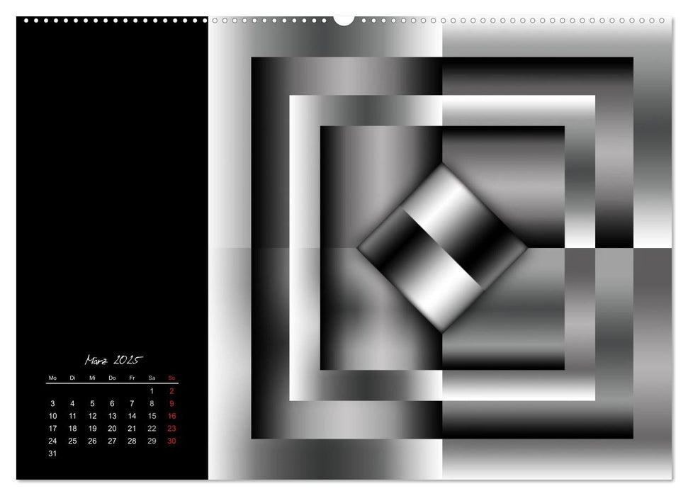 Schwarz trifft Weiß (CALVENDO Wandkalender 2025)