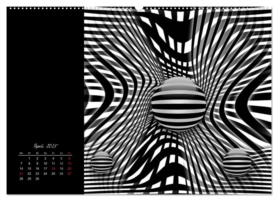 Schwarz trifft Weiß (CALVENDO Wandkalender 2025)