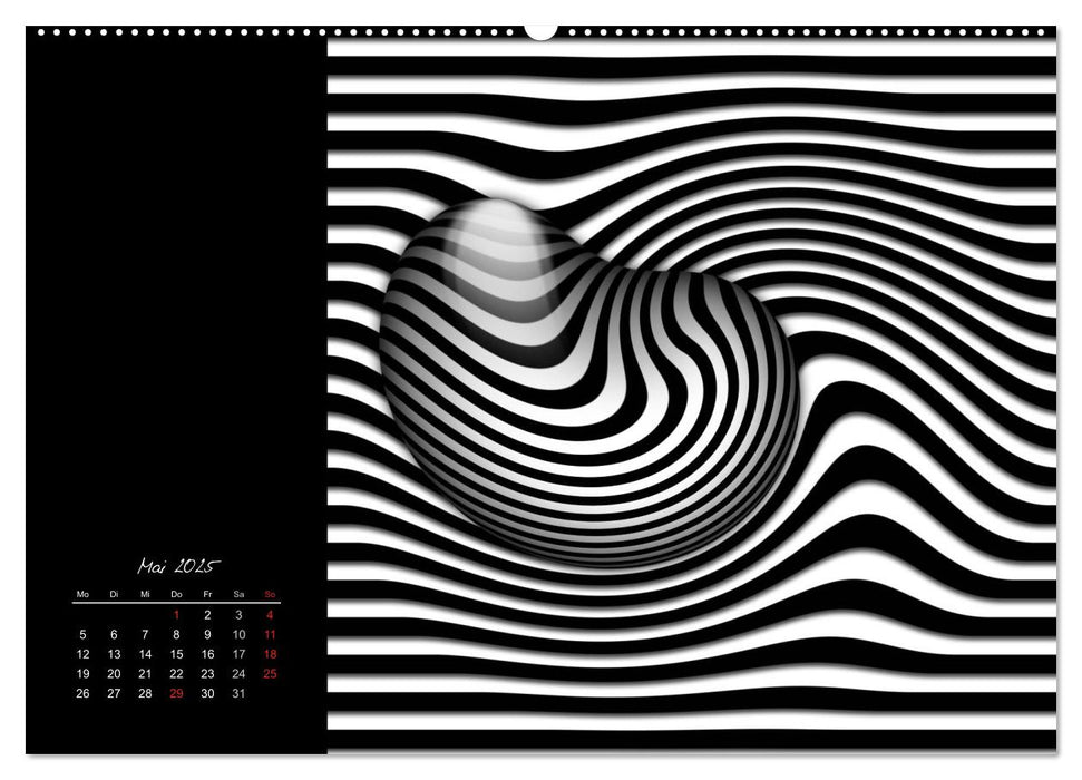 Schwarz trifft Weiß (CALVENDO Wandkalender 2025)