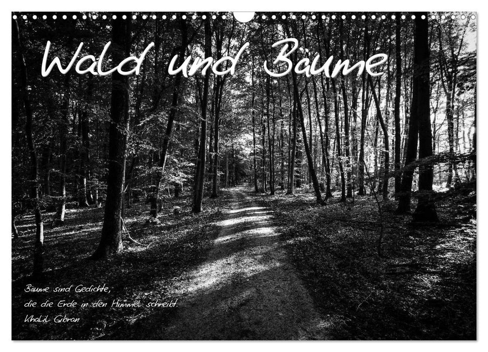 Wald und Bäume (CALVENDO Wandkalender 2025)