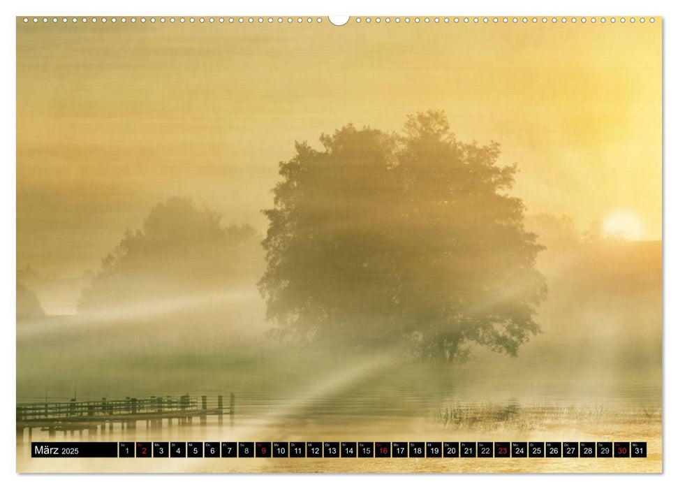 Traumwelten (CALVENDO Premium Wandkalender 2025)