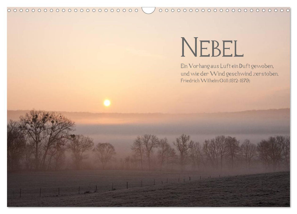 NEBEL (CALVENDO Wandkalender 2025)