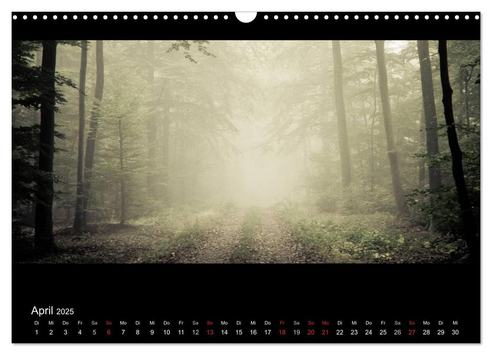 NEBEL (CALVENDO Wandkalender 2025)