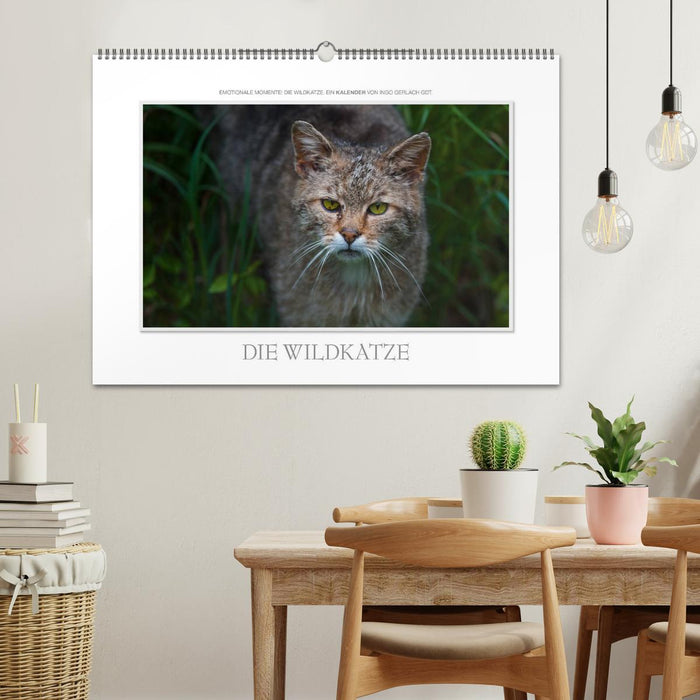 Emotionale Momente: Die Wildkatze. (CALVENDO Wandkalender 2025)