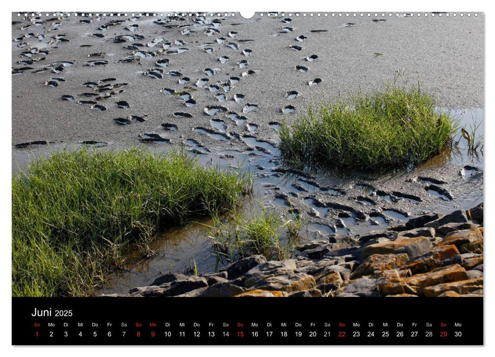 NORDSEE IMPRESSIONEN (CALVENDO Premium Wandkalender 2025)