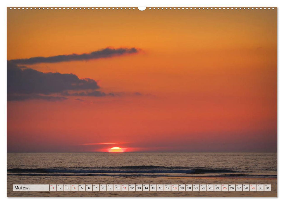 Nordseeinsel Amrum (CALVENDO Premium Wandkalender 2025)