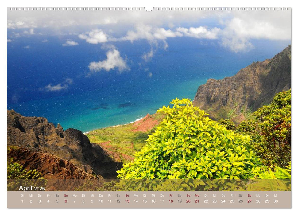 Aloha aus Hawaii (CALVENDO Premium Wandkalender 2025)